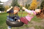 3 Point Tyre Swing on Chain