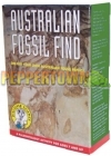 Australian Fossil Find 
