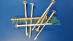 Bugle Batten screw- 100mm (sold individually)