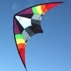 Ikon Sports Dual Control Stunt Kite