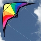 Prism Sports Dual Control Stunt Kite