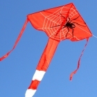 Spider Delta Kite